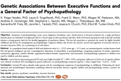 Executive Functions and General Factor of Psychopathology