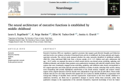 Neural Architecture of Executive Functions